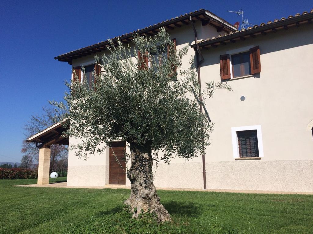 Podere Le Volte Degli Angeli Spello Eksteriør billede