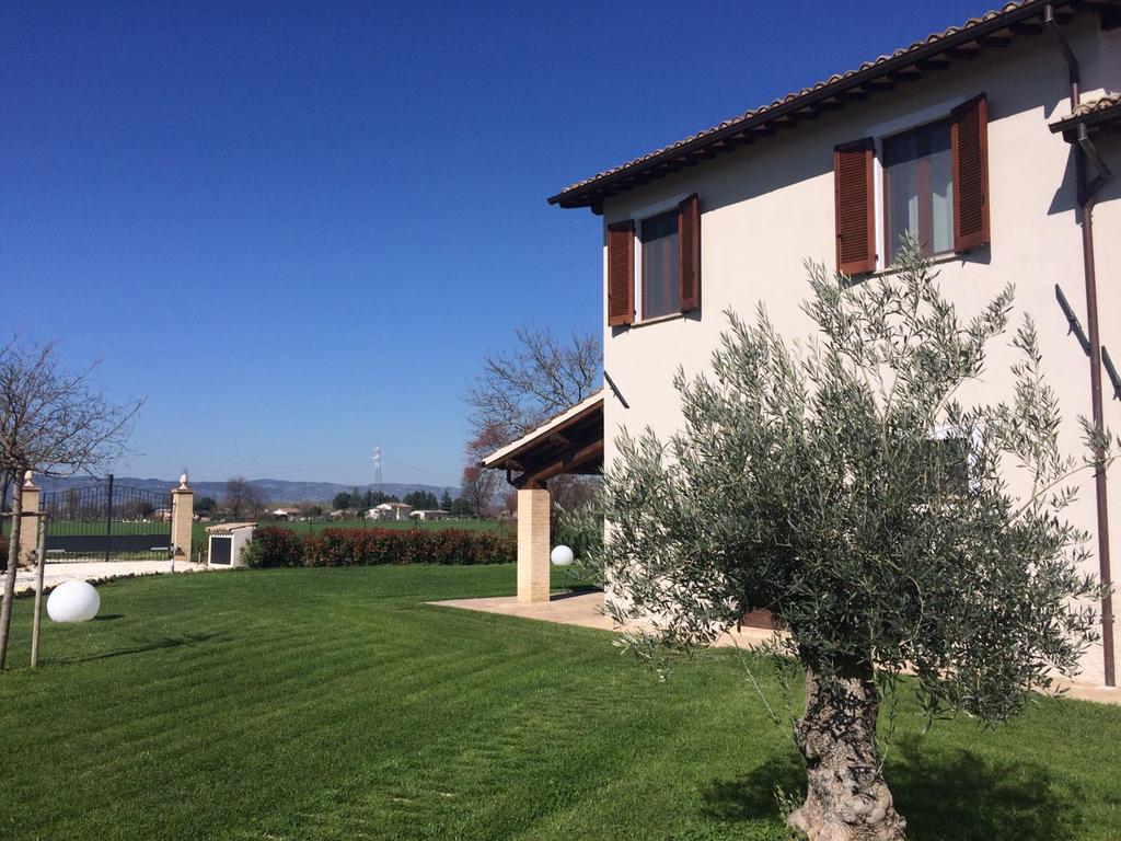 Podere Le Volte Degli Angeli Spello Eksteriør billede