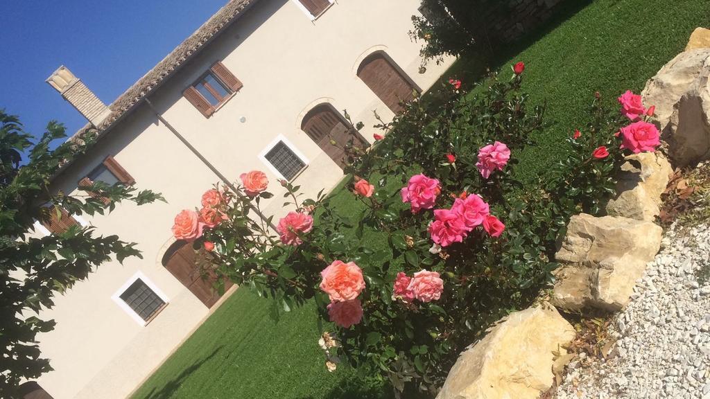 Podere Le Volte Degli Angeli Spello Eksteriør billede