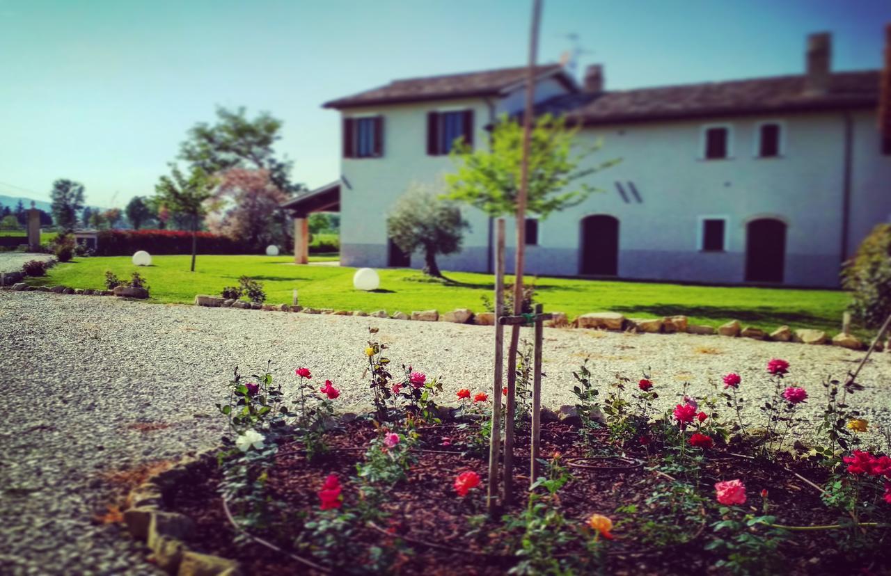 Podere Le Volte Degli Angeli Spello Eksteriør billede